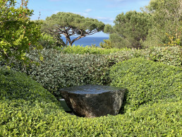 Jardín en Saint Tropez. Luis Vallejo