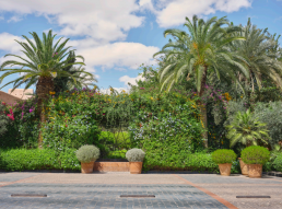 Hotel Royal Manseur Luis Vallejo