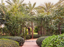Hotel Royal Manseur Luis Vallejo