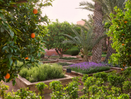 Hotel Royal Manseur Luis Vallejo
