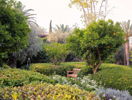 Hotel Royal Manseur Luis Vallejo