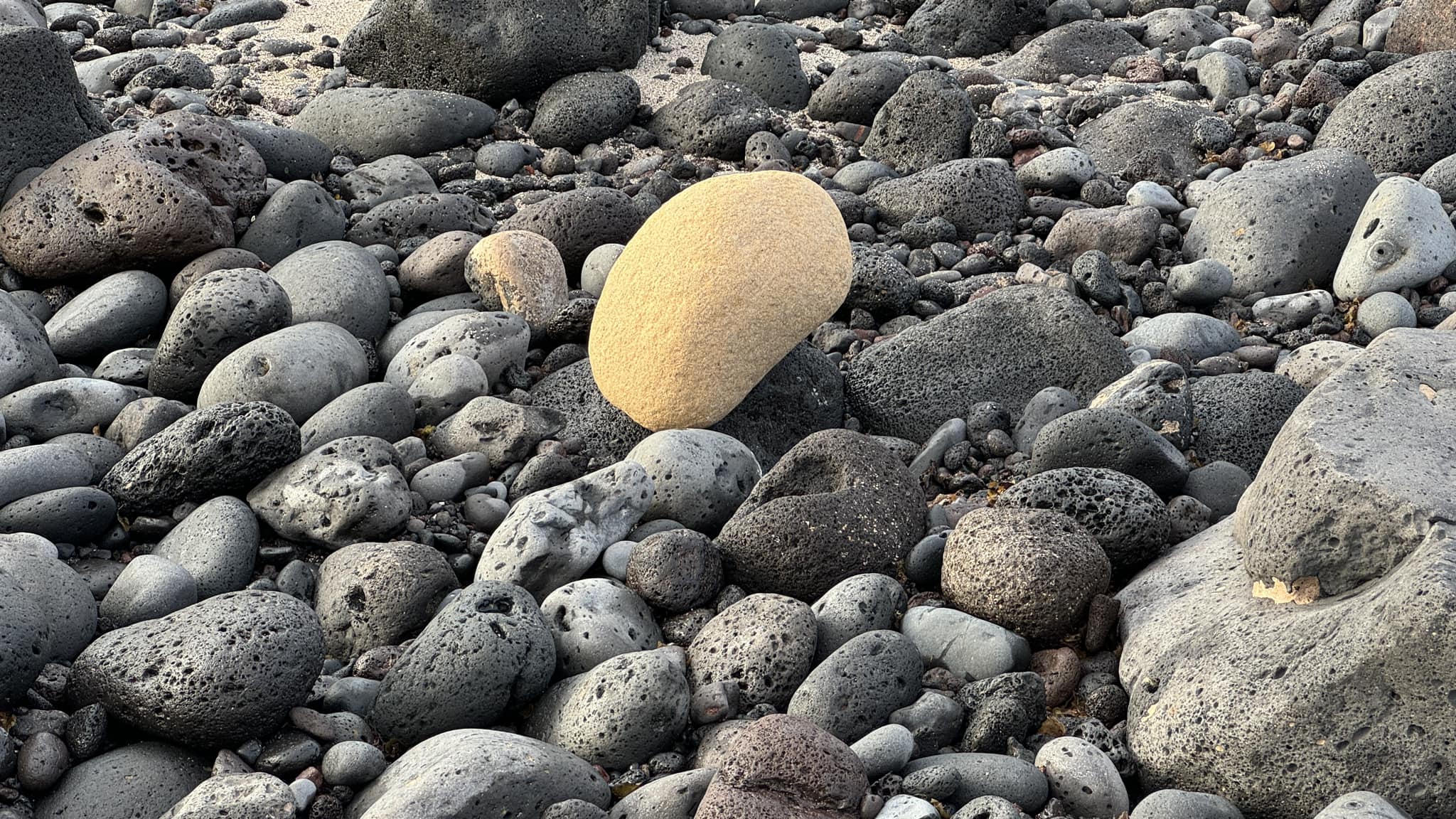 A kind of Gold. Inspiraciones Luis Vallejo