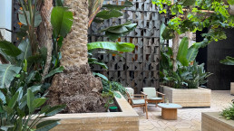 Hotel Royal Manseur Casablanca. Patio de los chirimoyos. Luis Vallejo