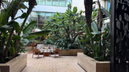 Hotel Royal Manseur Casablanca. Patio de los chirimoyos. Luis Vallejo