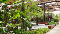 École hôtelière Royal Mansour Marrakech