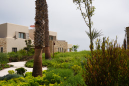 Royal Mansour Tamuda Bay Hotel. Luis Vallejo Estudio de paisajismo 2024