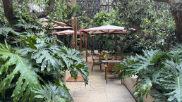 Hotel Royal Manseur Casablanca. Patio de los chirimoyos. Luis Vallejo