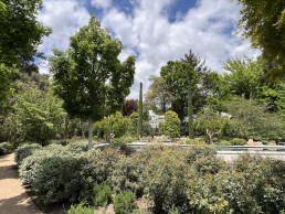 Jardín en la Moraleja, Madrid 2025 Luis Vallejo