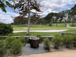 Jardín en la Moraleja, Madrid 2025 Luis Vallejo