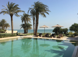 Jardín privado Kuwait. Luis Vallejo estudio de paisajismo