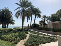 Jardín privado Kuwait. Luis Vallejo estudio de paisajismo