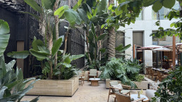 Hotel Royal Manseur Casablanca. Patio de los chirimoyos. Luis Vallejo