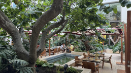 Hotel Royal Manseur Casablanca. Patio de los chirimoyos. Luis Vallejo