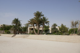 Jardín privado Kuwait. Luis Vallejo estudio de paisajismo