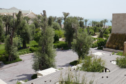 Jardín privado Kuwait. Luis Vallejo estudio de paisajismo