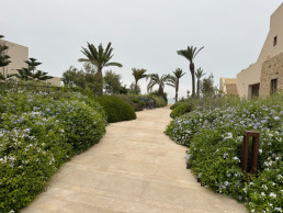 Royal Mansour Tamuda Bay Hotel. Luis Vallejo Estudio de paisajismo 2024